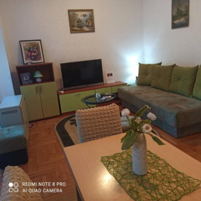 Apartman Radicevic